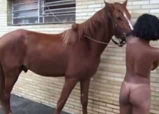 Horny chick and her hung stallion