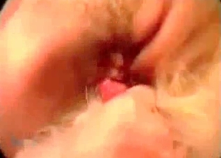 Close-up shots of amazing bestiality action