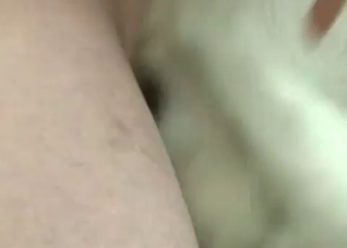 Sexed-up slut enjoying this husky's hard cock