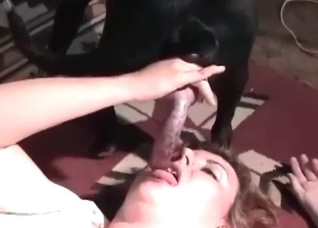 Dirty doggo gets its cock sucked on camera