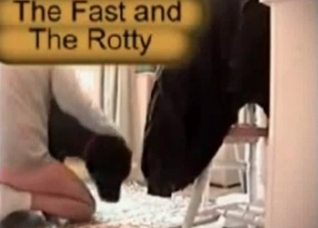 Bestiality in the bedroom, a cozy XXX clip