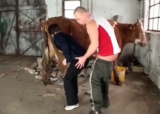 Hung horse enjoys fucking beautiful babes