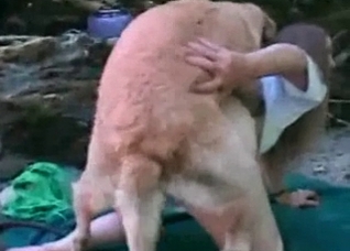 Outdoors hardcore with a horny little puppy