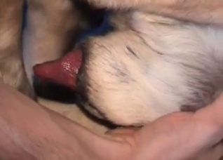 Horny dog enjoying that sweet release