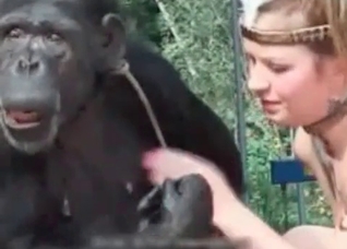 Foot fetish video starring a fucking monkey