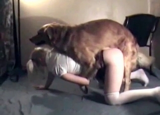 Horny hound gets to drill this blonde's pussy