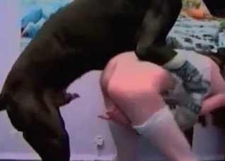 Huge dog overpowering and power-fucking a slut