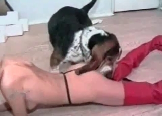 Subby zoophile slut getting it on