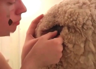 Bestiality banging with a hairy dog cock