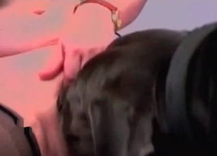 Redheaded zoophile slut gets banged by a dog