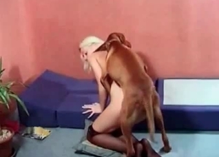 Blond-haired beauty takes dog cock up the ass