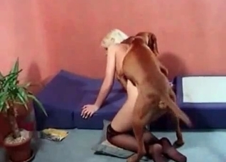 Blond-haired beauty takes dog cock up the ass