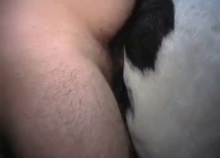 Thick cow fucked by an equally thick dude