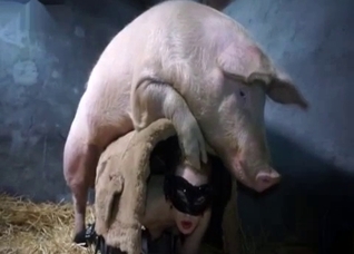 Twisted pig fucking a masked amateur
