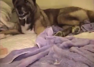 Dude fucking his tight asshole with a toy