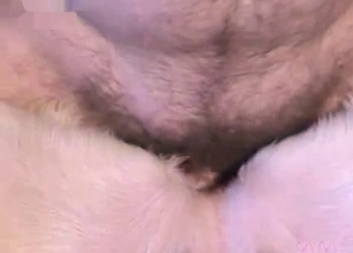Bitch pinned down and fucked brutally