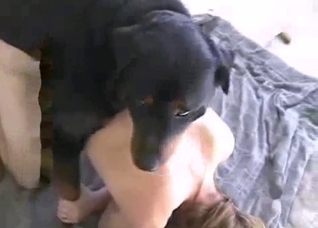 Black dog penetrating that gay asshole