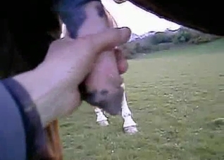 POV handjob for a hot stallion boner