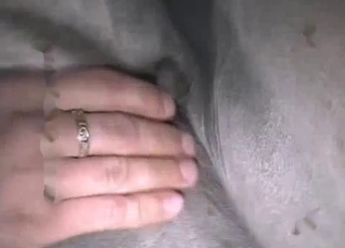 Dude fucking a tight horse pussy on cam