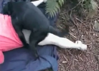 Passionate zoo fucking video here