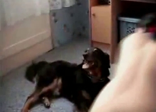 Brunette seducing her sexy dog