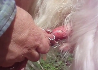 Deformed cock dude vs a dog