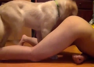 Extremely passionate oral sex with a dog