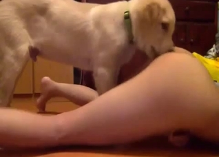 Extremely passionate oral sex with a dog
