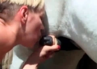 Blond-haired chick worships horse penis