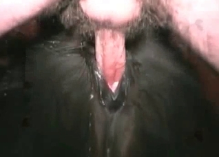 Dude punishing that animal pussy