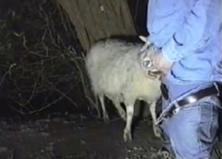 Canadian tuxedo dude fucks his goat
