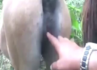 Dude wants to fuck a mare's wet pussy hard
