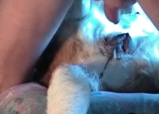 Amateurs enjoying bestiality on camera