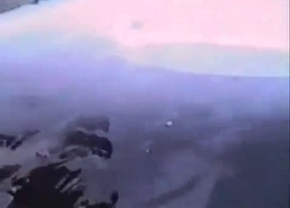 Rare kind of bestiality: dolphins getting dirty