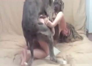 Good-looking babe and her horny doggo