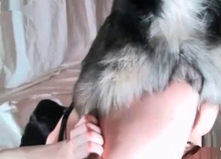 Insanely sexy teen slut enjoying dog cock