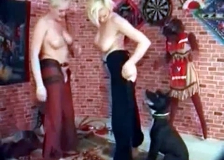 Beautiful boxer enjoying two tall hotties