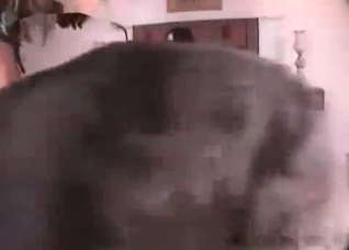 Sexy doggo enjoying this cunnilingus session