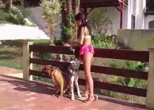 Dogs enjoying this wild group sex scene