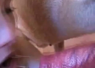 Dirty dog enjoying ruthless sex on camera