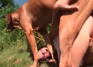 Loose pussy won't let this dog off