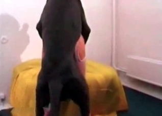 Seductive babe enjoying that Doberman dick
