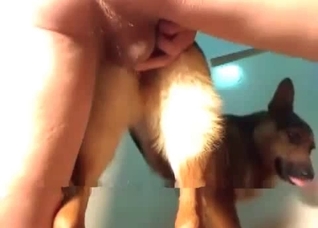 Really sexy dog fucked from behind