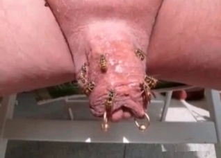 This is the dirtiest bestiality video ever