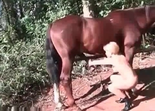 Hung stallion fucking a bleached blonde bitch