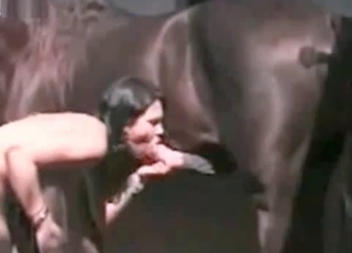 Alluring horse dick is getting massaged here