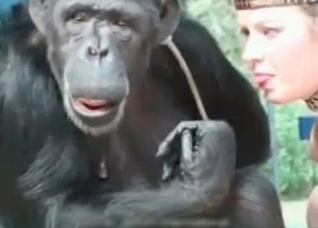 Foot fetish video starring a fucking monkey