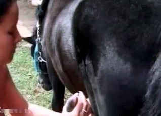Horny horse banging a stacked Latina