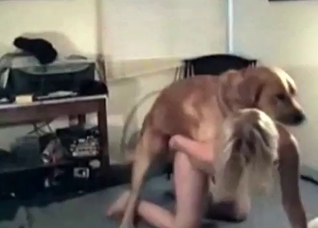 Horny hound gets to drill this blonde's pussy