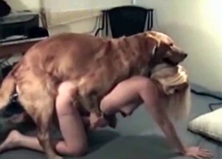 Horny hound gets to drill this blonde's pussy